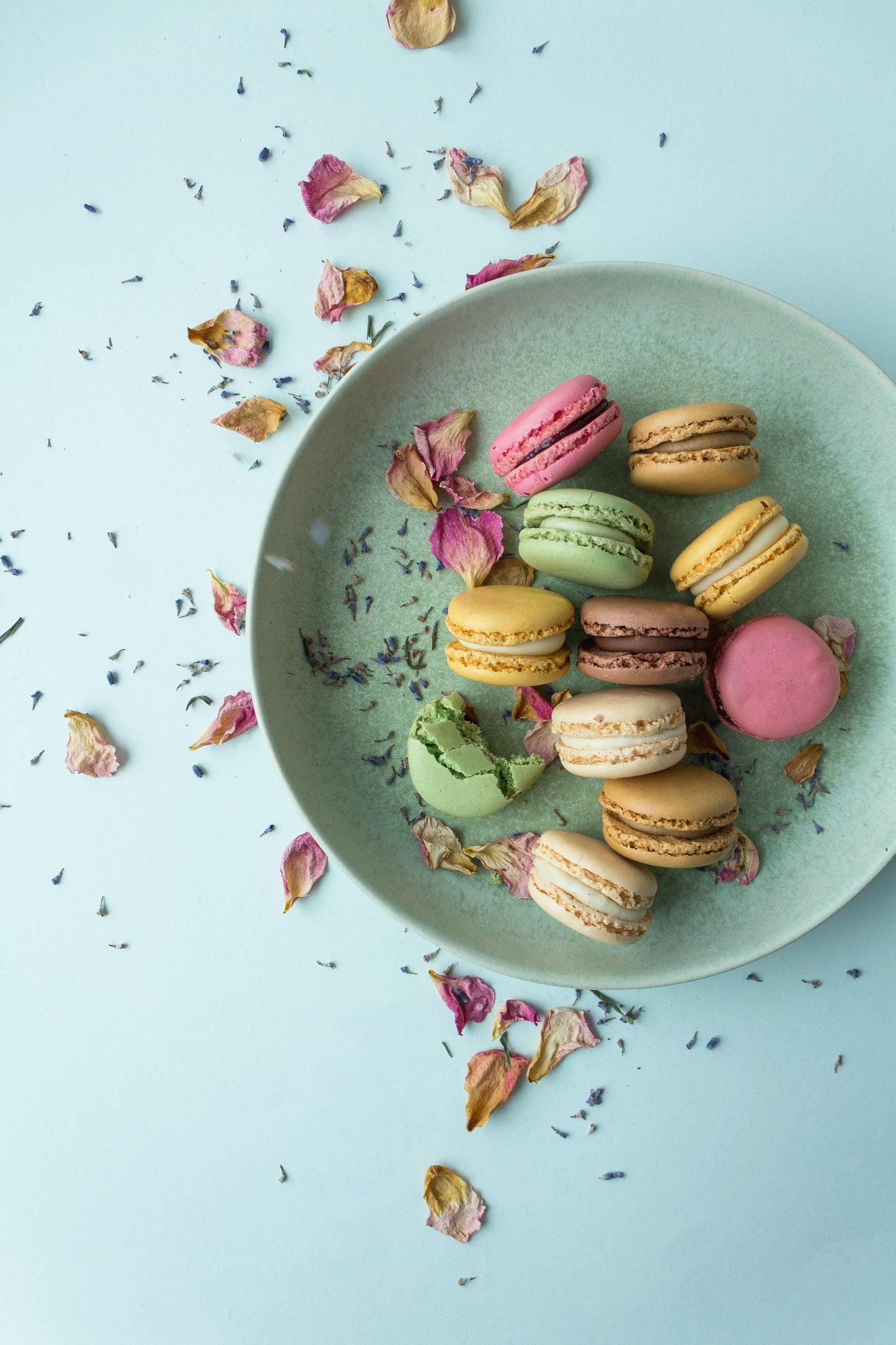 Macarons Zitrone, Pistazien und Wald Himbeeren