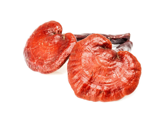 Wholesale Hawaiian Cinnamon Cacao Tea w/ Reishi (bulk)